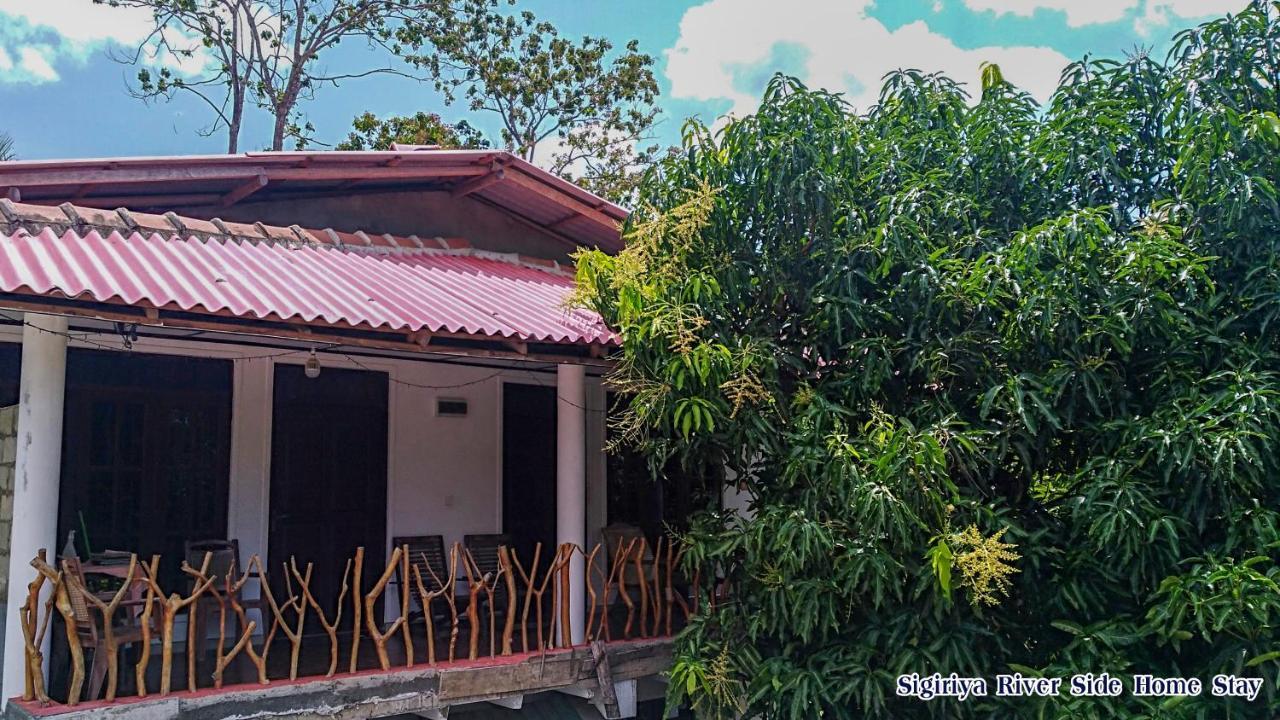 The Sigiri Roar Appartement Sigiriya Buitenkant foto