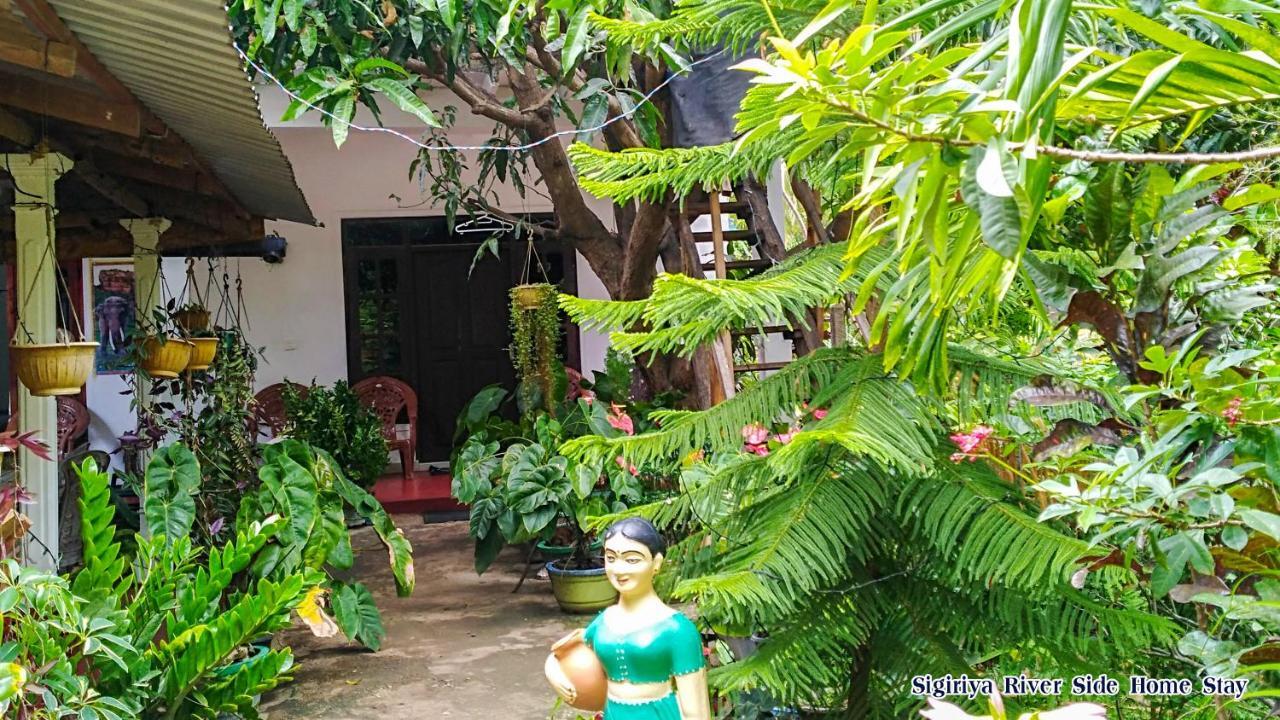The Sigiri Roar Appartement Sigiriya Buitenkant foto