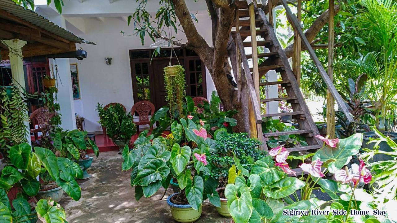 The Sigiri Roar Appartement Sigiriya Buitenkant foto
