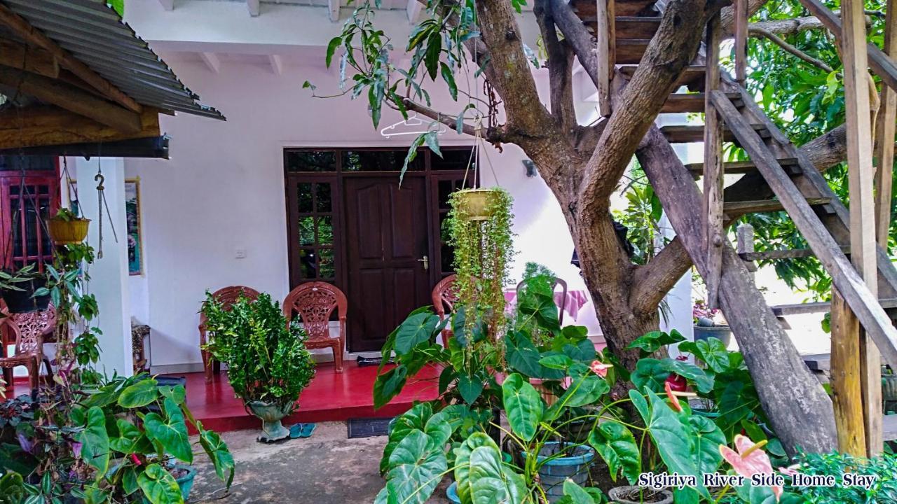 The Sigiri Roar Appartement Sigiriya Buitenkant foto
